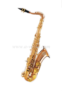 bB key Saxofone tenor iniciante com boquilha (TSP-G300G)
