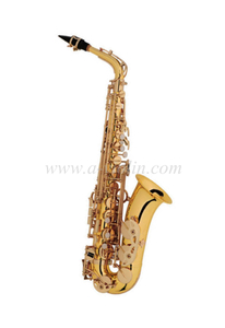 Saxofone alto de nível básico estilo Y com acessório (SP1012G)