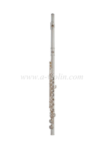 Flauta infantil folheada a prata de nível básico (FL4312S)
