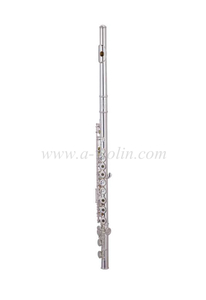 Flauta de lábio de prata sólida padrão de alto grau (FL-H466SE)