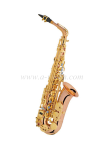 Saxofone alto estilo Y de fábrica da China (SP1012R-G)