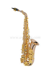 Modelo de estudante de saxofone alto Rose Brass atualizado (SP1013R-G)